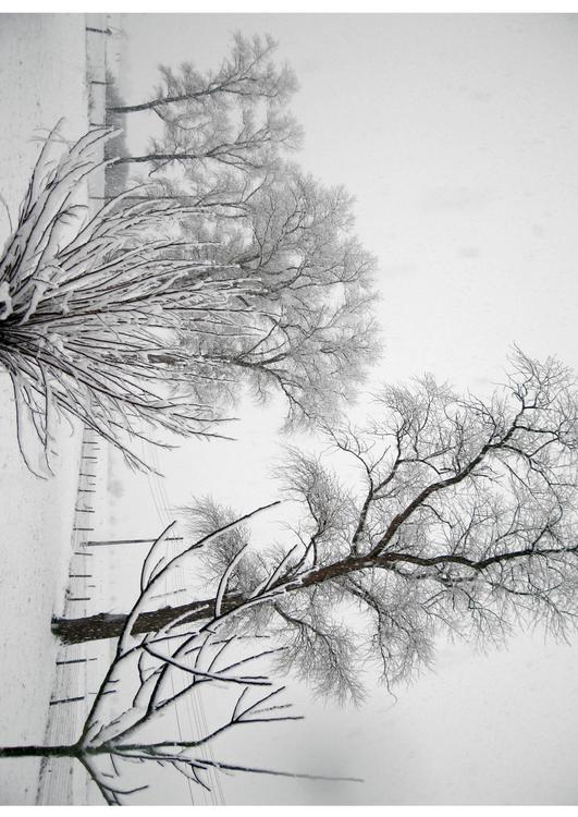 winter