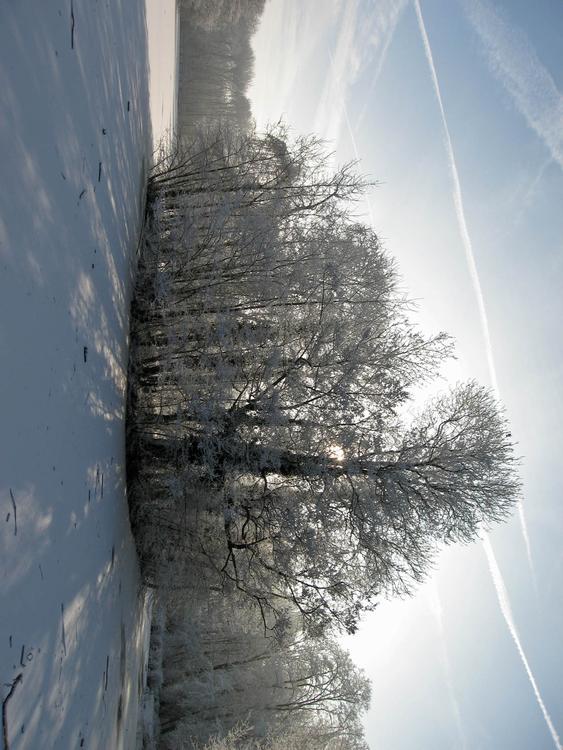 winter