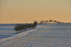 Foto's winterlandschap