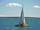 Foto's zeilboot catamaran