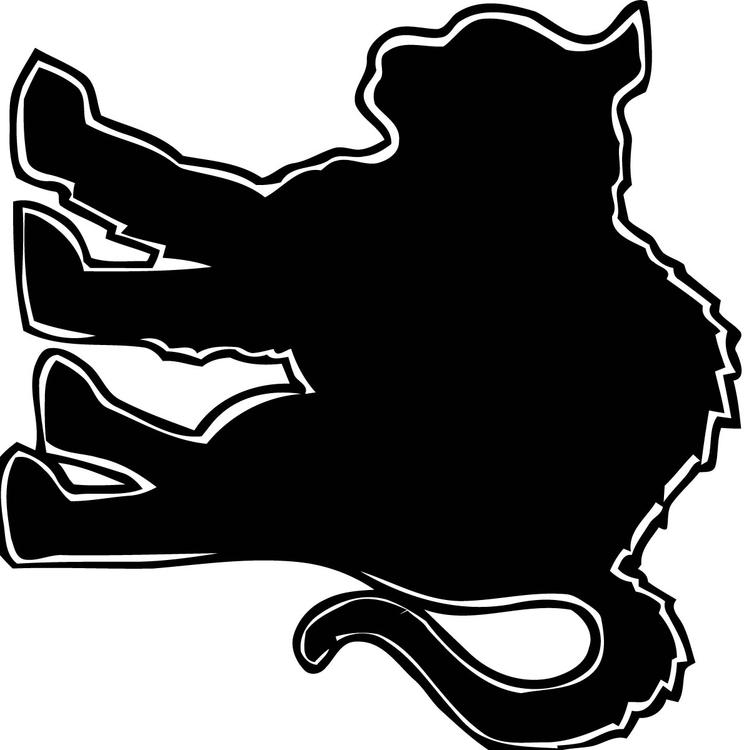 zwarte kat
