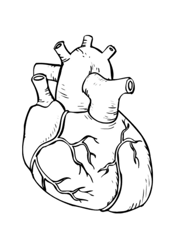 hart