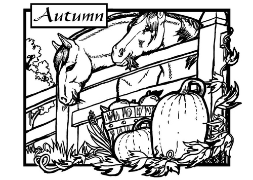 Herfst - paarden