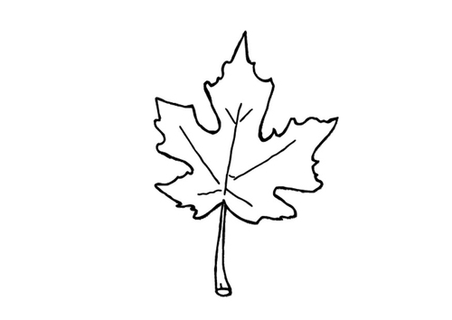 herfstblad