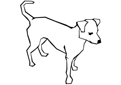 hond
