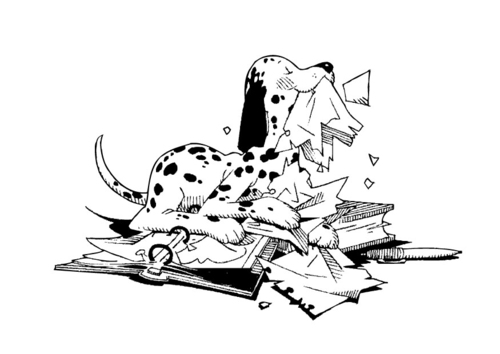 hond