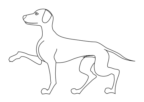 hond
