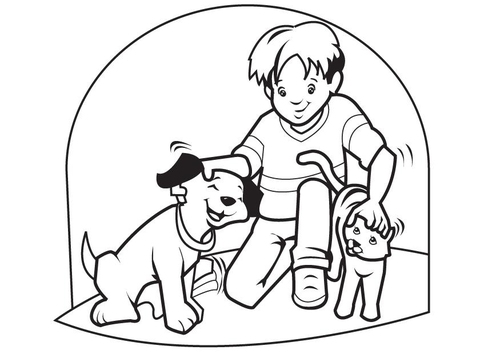 huisdieren hond en kat