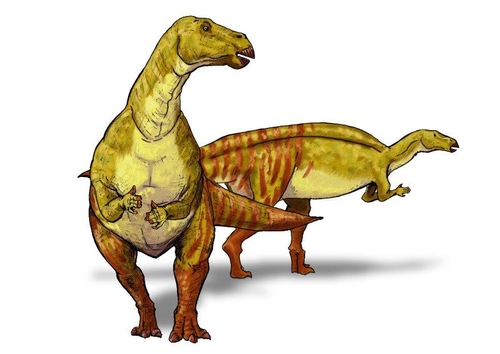 Iguanodont