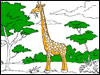 african animals