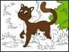 cat
