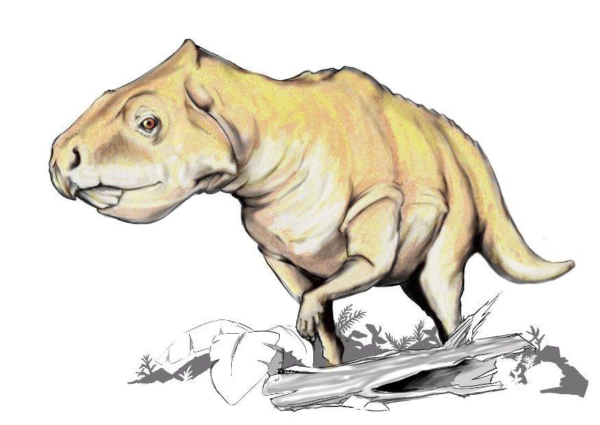 prenoceratops dinosaurus Afbeelding prenoceratops dinosaurus