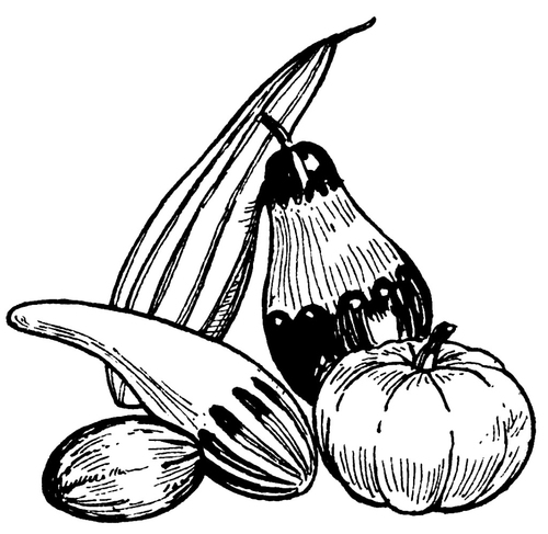 Kleurplaat kalebassen