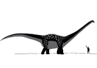 Kleurplaten Antarctosaurus