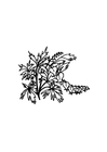 Kleurplaten bloemen