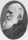 Kleurplaten Charles Darwin