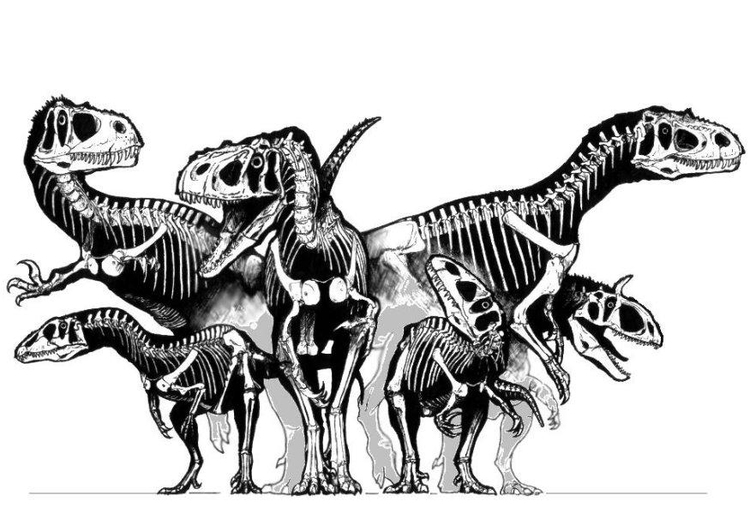 Kleurplaat groep dinosaurussen -  skeletten