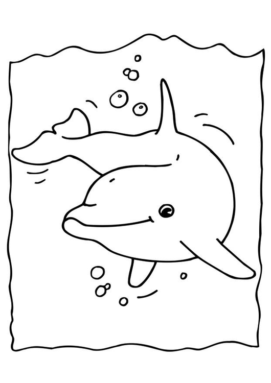 Kleurplaat dolfijn