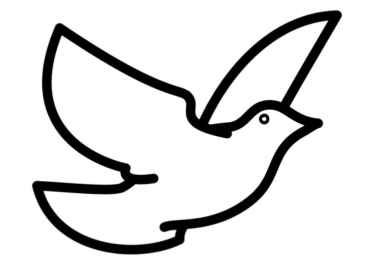 Kleurplaat duif