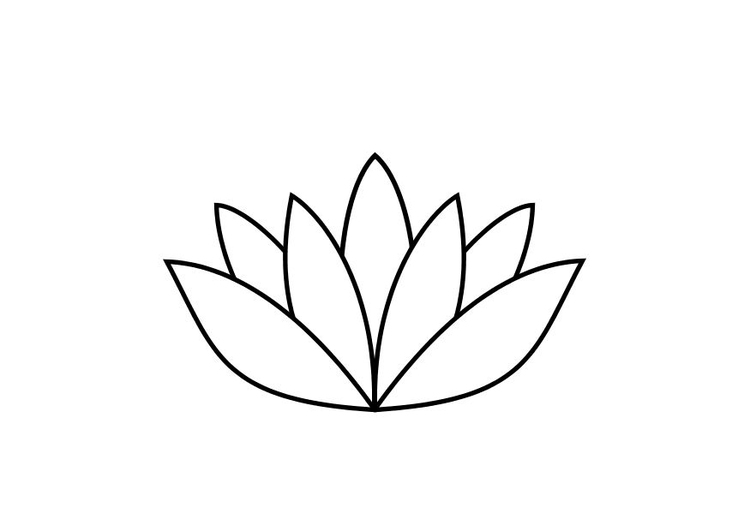Kleurplaat lotus