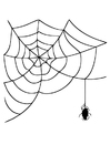 Kleurplaten spinnenweb met spin
