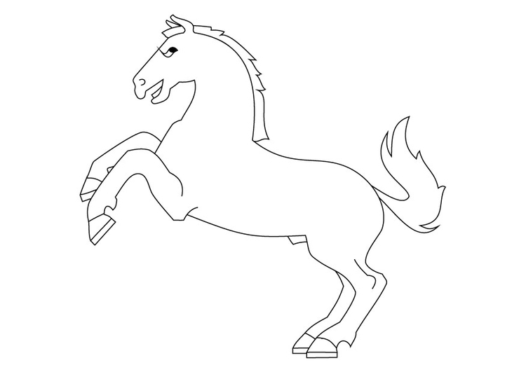 Kleurplaat steigerend paard
