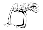 Kleurplaten struisvogel met kop in zand