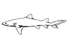 Kleurplaten vis - haai