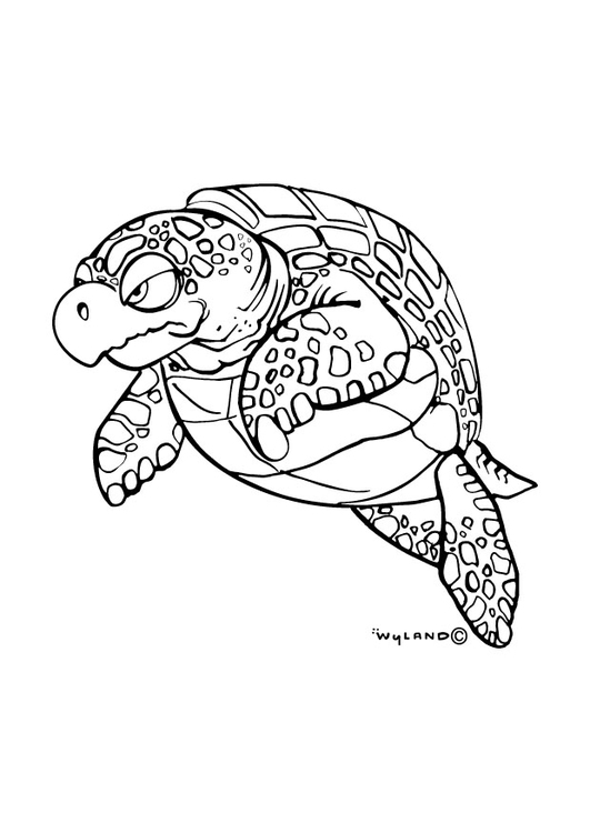 Kleurplaat zeeschildpad