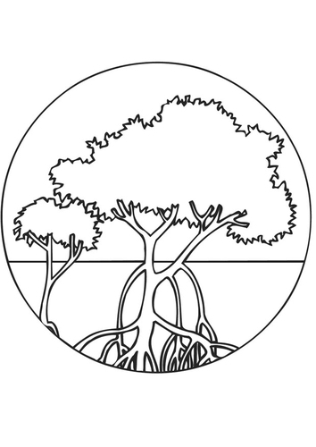 Kleurplaat mangrove bomen