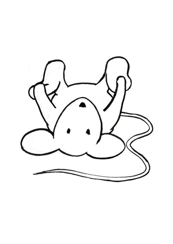 Transi, de muis