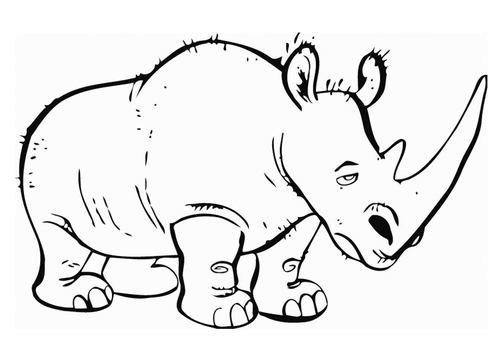 neushoorn