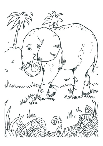 Kleurplaat olifant