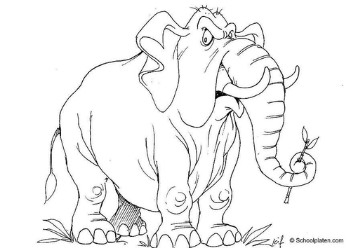 olifant