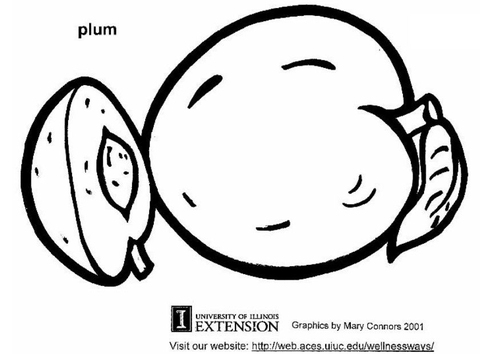 pruim