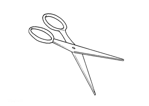 schaar