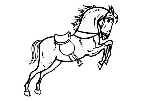 springend paard 