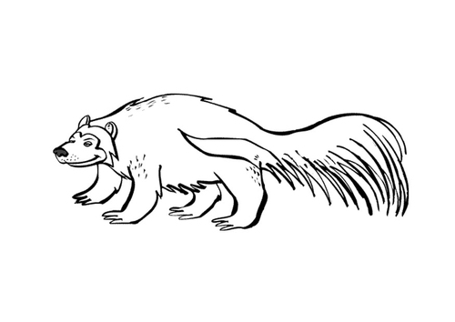 veelvraat