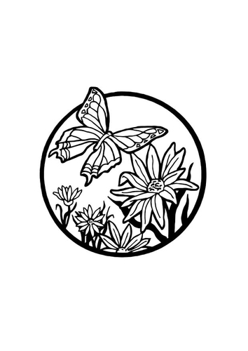 vlinder 