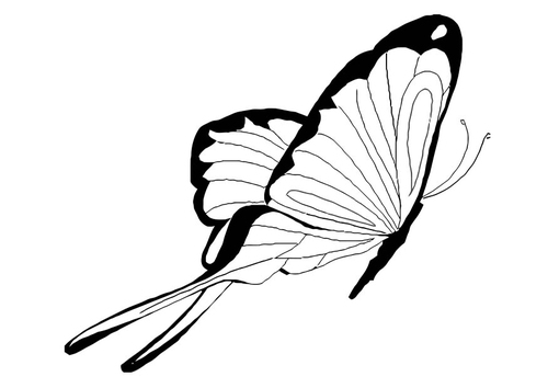 vlinder