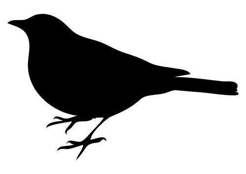 vogel 