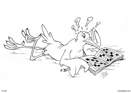 vogel met kruiswoordraadsel