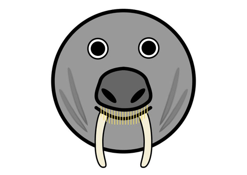 r1 - walrus