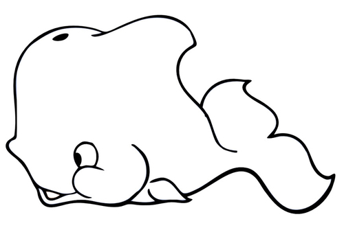walvis