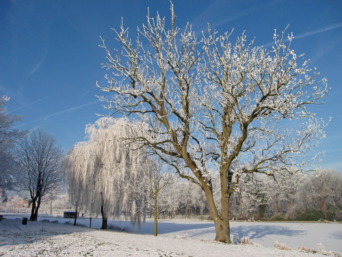 winter5
