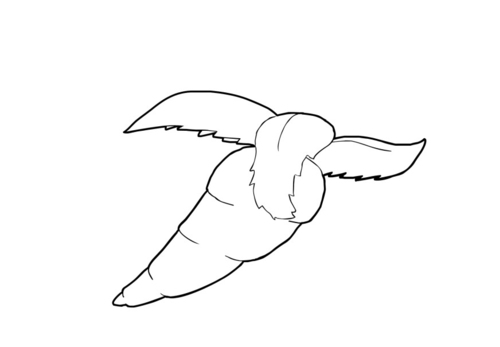wortel