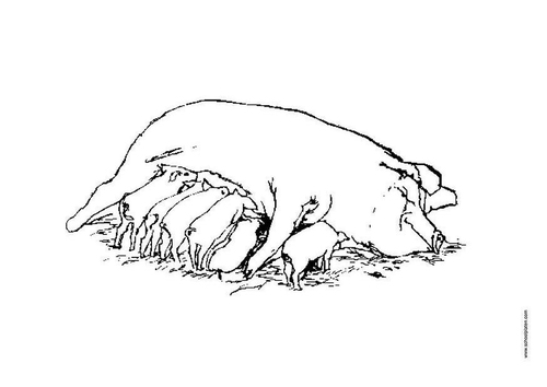 zeug
