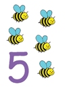 afbeelding 5