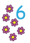 afbeelding 6