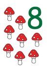 afbeelding 8
